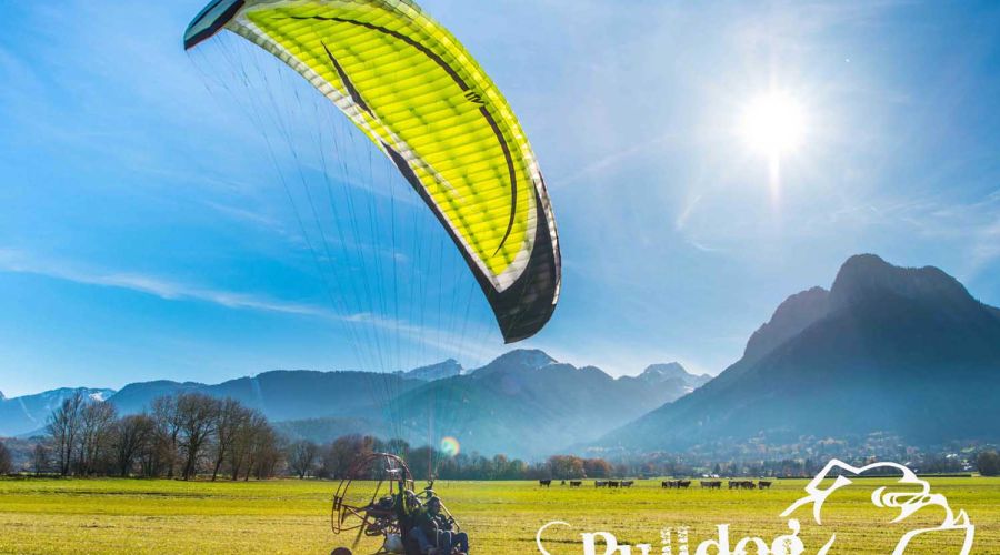 Bulldog | voile ITV