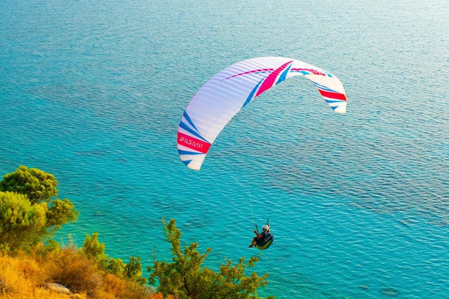Wasabi | Paragliding wing | ITV